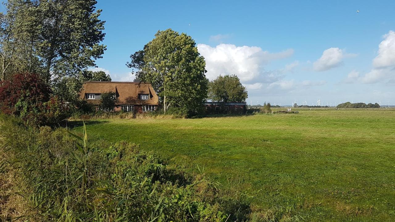 Ferienwohnung Marschkieker - Kleiner Deichhof Hattstedtermarsch Exteriör bild