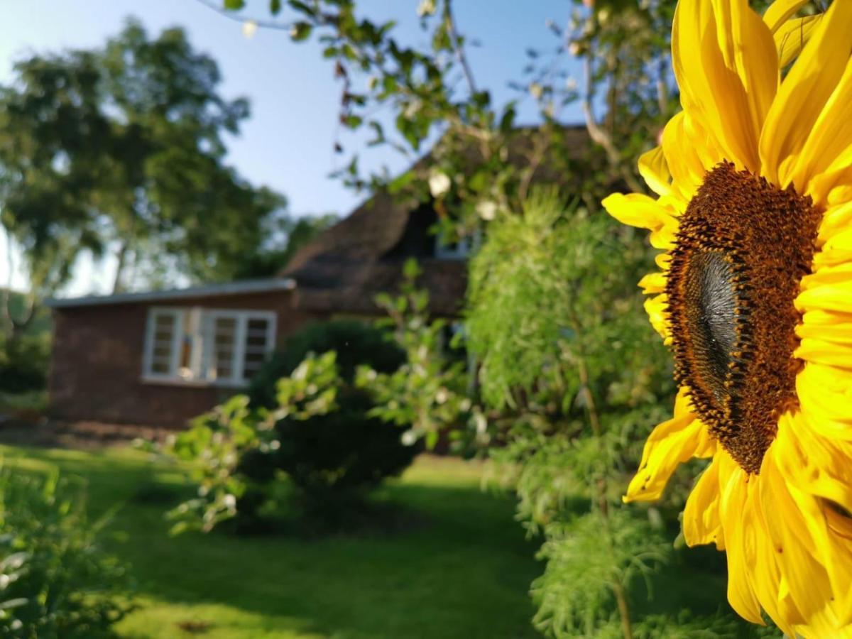 Ferienwohnung Marschkieker - Kleiner Deichhof Hattstedtermarsch Exteriör bild