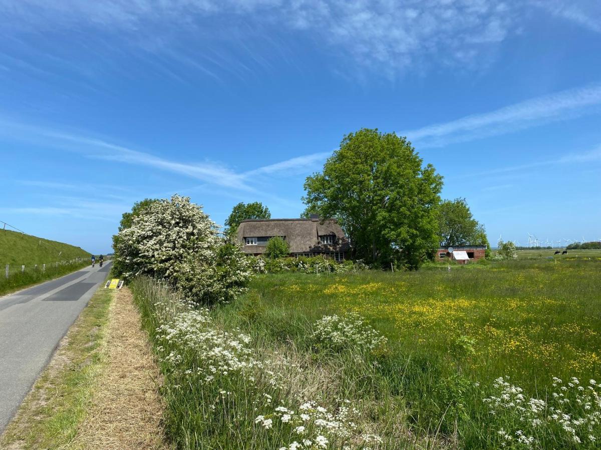 Ferienwohnung Marschkieker - Kleiner Deichhof Hattstedtermarsch Exteriör bild