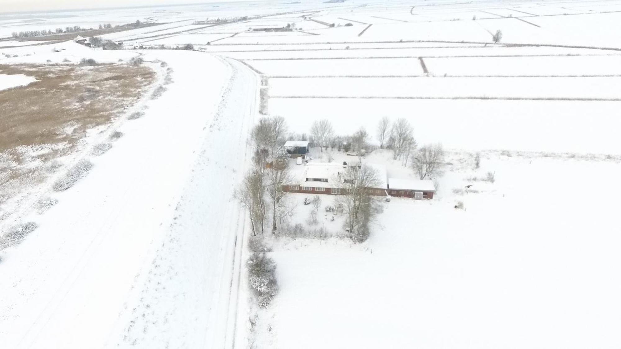 Ferienwohnung Marschkieker - Kleiner Deichhof Hattstedtermarsch Exteriör bild
